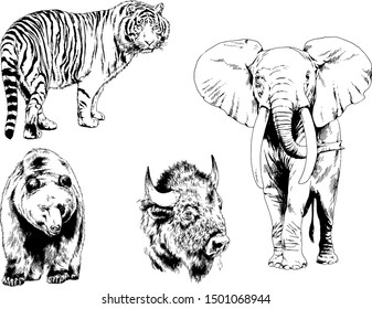 set of vector drawings of various animals, predators and herbivores, hand-drawn sketches, tattoos