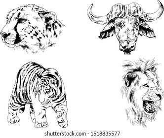 set of vector drawings of various animals, predators and herbivores, hand-drawn sketches, tattoos