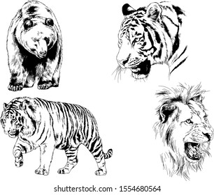 set of vector drawings of various animals, predators and herbivores, hand-drawn sketches, tattoos