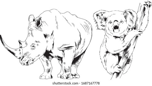 set of vector drawings of various animals, predators and herbivores, hand-drawn sketches, tattoos