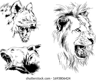 set of vector drawings of various animals, predators and herbivores, hand-drawn sketches, tattoos