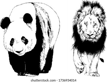 set of vector drawings of various animals, predators and herbivores, hand-drawn sketches, tattoos