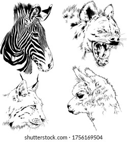 set of vector drawings of various animals, predators and herbivores, hand-drawn sketches, tattoos