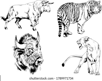 set of vector drawings of various animals, predators and herbivores, hand-drawn sketches, tattoos