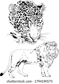 set of vector drawings of various animals, predators and herbivores, hand-drawn sketches, tattoos