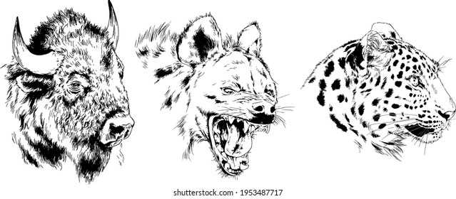 set of vector drawings of various animals, predators and herbivores, hand-drawn sketches, tattoos