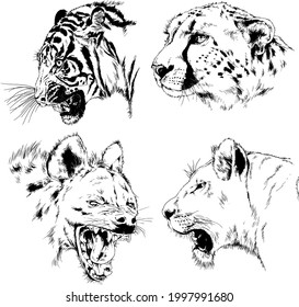 set of vector drawings of various animals, predators and herbivores, hand-drawn sketches, tattoos