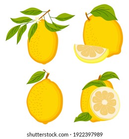 Set of vector drawings of yellow lemons, half a lemon, a slice with leaves on a white isolated background in a flat style, cartoon.