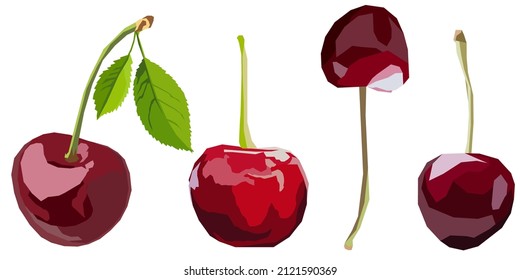 Set of vector drawn cherry