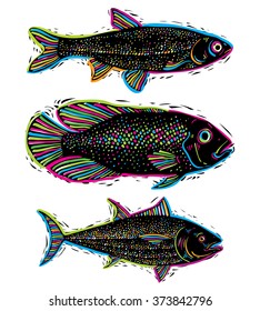 Set of vector drawn fishes, different underwater species. Organic seafood graphic symbols collection, freshwater fishes, sea bass, sea bream and salmon.
