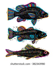 Set of vector drawn fishes, different underwater species. Organic seafood graphic symbols collection, freshwater fishes, sea bass, sea bream and salmon.