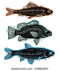 Set of vector drawn fishes, different underwater species. Organic seafood graphic symbols collection, freshwater fishes, sea bass, sea bream and salmon.