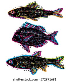 Set of vector drawn fishes, different underwater species. Organic seafood graphic symbols collection, freshwater fishes, sea bass, sea bream and salmon.