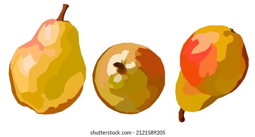 Set of vector drawn pear fruits