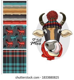 Set of vector dressed up cow and vector seamless pattern. Pretty cow with knitted hat and scarf. Print on T-shirts, bags and other fashion products. Design children's clothing and accessories.