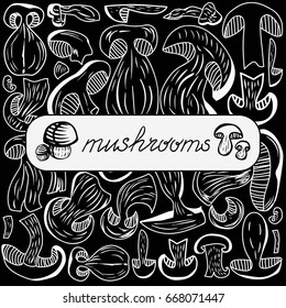 Set of vector Dried Mushrooms. Hand drawn. Black and white. Healthy food, raw food, vegetarian.