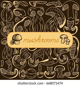 Set of vector Dried Mushrooms. Hand drawn. Healthy food, raw food, vegetarian.