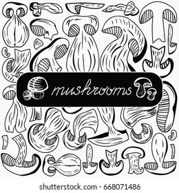 Set of vector Dried Mushrooms. Hand drawn. Black and white. Healthy food, raw food, vegetarian.