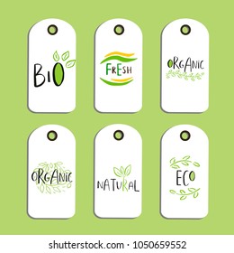 Set of Vector eco badge or tag, bio green logo. Vegan sign for cafe, restaurants, products packaging. Hand drawn leaves, branches, plant elements with lettering. Organic design template.