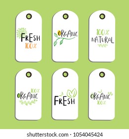 Set of Vector eco badge or tag, bio green logo. Vegan sign for cafe, restaurants, products packaging. Hand drawn leaves, branches, plant elements with lettering. Organic design template.