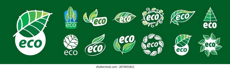 A set of vector eco icons on a green background