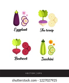A set of vector editable vegetables illustration: striped zucchini, red beetroot, purple fresh eggplant, yellow turnip. Squash, marrow, sliced, seeds, flowers, simple flat style.