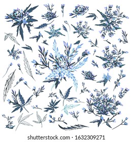 Set of vector elegant drawn field plants and flowers for design