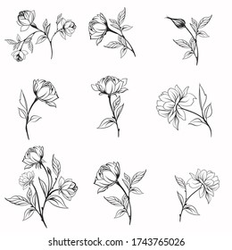 Set of vector elegant line flowers for logotypes designs, weddings, cards and other