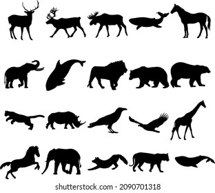 Set of vector elements animals