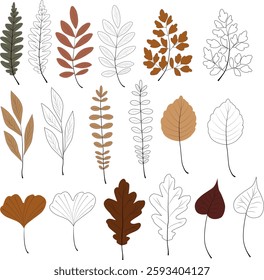 set of vector elements, autumn leaves