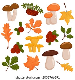 Ensemble d'éléments vectoriels dans le style d'automne. Feuilles, glands, baies, canneberges, cendres de montagne. Image vectorielle style de dessin animé.