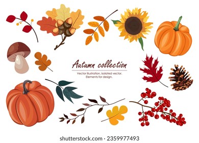 Set of vector elements for design. Isolated elements. Autumn leaves, pumpkin, sunflower, viburnum, mushroom. Autumn collection.