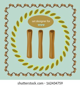 set of vector elements for design, spices