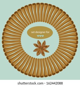 set of vector elements for design, spices