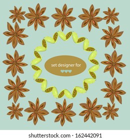 set of vector elements for design, spices