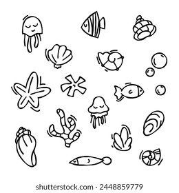 Set of vector elements in doodle style. drawn seashells, starfish, black outline sketch isolated elements on white background for design template. Ocean flora