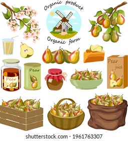 Set of vector elements with pears.Ripe pears and products from them on a white background in a color illustration.