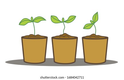 Set of vector elements sprouts in pots; seedlings are growing; green leaves of young plants; plants germinate in the spring; gardening.