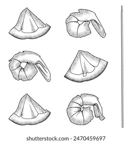 set of vector engraving isolated illustrations of shrimp and lemon slices