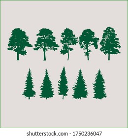 Set of vector evergreen trees. Silhouettes of pines and spruce trees