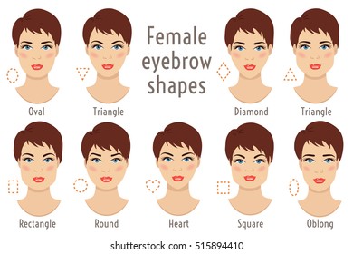 Set of vector eyebrow shapes. Eyebrows that are suited to different types of woman face. Set of illustrations with captions. Various forms of woman faces. Stock vector illustration.