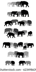 Set of vector family group of black and grey standing indian and african elephants on white background