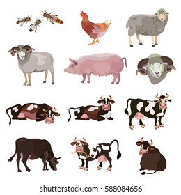 Set of vector farm animals