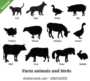Set of vector farm animals and birds ( Dog, Cat, Cow, Turkey, Donkey, Pig, Rabbit, Goose,  Sheep, Duck, Bull) silhouettes in black color isolated on white background