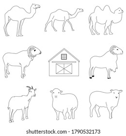 set of vector farm animals for the sacrifice of Eid al-Adha. senior line of goats, cows, buffalo, sheep