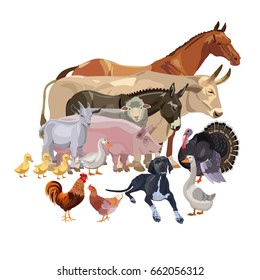 Set of vector farm animals in various poses on the white background