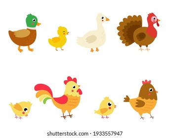 Set of vector farm birds in cartoon style. Collection of childish illustrations.