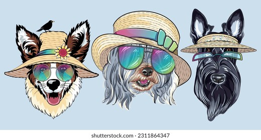 Set of Vector fashion dogs in straw hat. Hipster dog Pembroke Welsh corgi, Scottish Terrier and Lowchen or Little Lion Dog