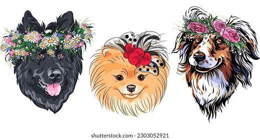 Set of Vector fashion dogs in wildflowers wreath, Belgian Shepherd Dog, Australian Shepherd and Pomeranian breed
