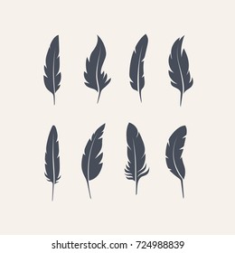 Set of vector feathers